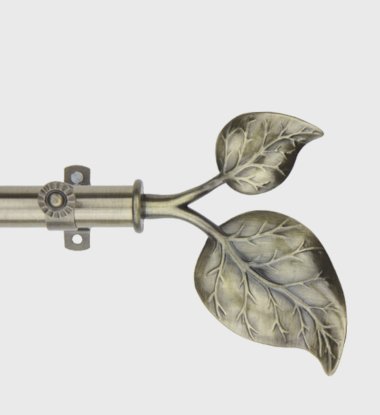 IVY